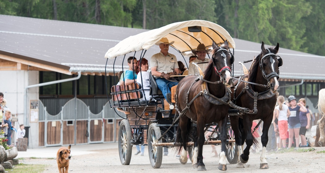 San Jon Kutschen- und Schlittenfahrten (oua_30177800_image)