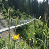 Buchnertobel suspension bridge
