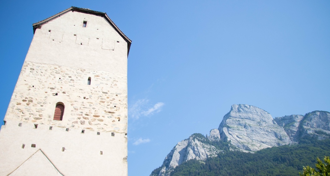 Schloss Sargans und im Hintergrund der Hausberg von Sargans - der Gonzen.