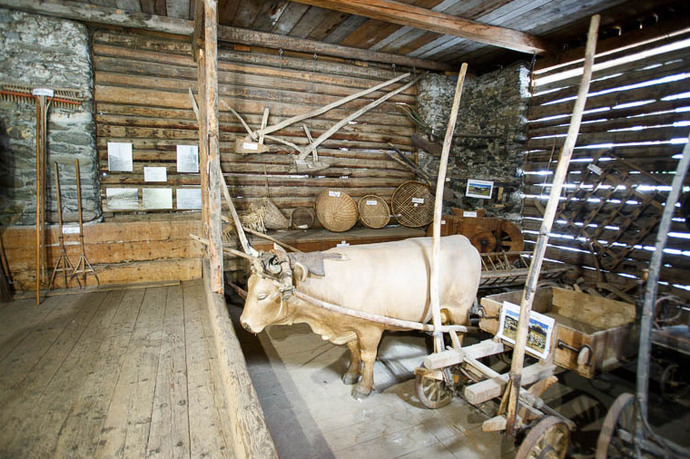 Wagen / Pflug im Innern des Museums.