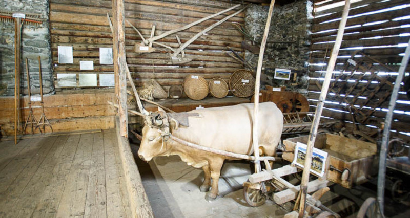 Wagen / Pflug im Innern des Museums.