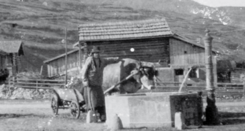 Die Tiere wurden mindestens morgens und abends an den Brunnen getränkt.