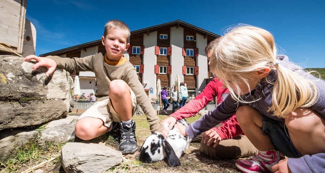 Heuberge Sommer (oua_30209532_image)