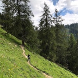 279 Pendlatrail (oua_30306629_image)