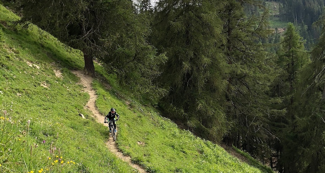 279 Pendlatrail (oua_30306629_image)