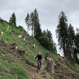 279 Pendlatrail (oua_30306638_image)