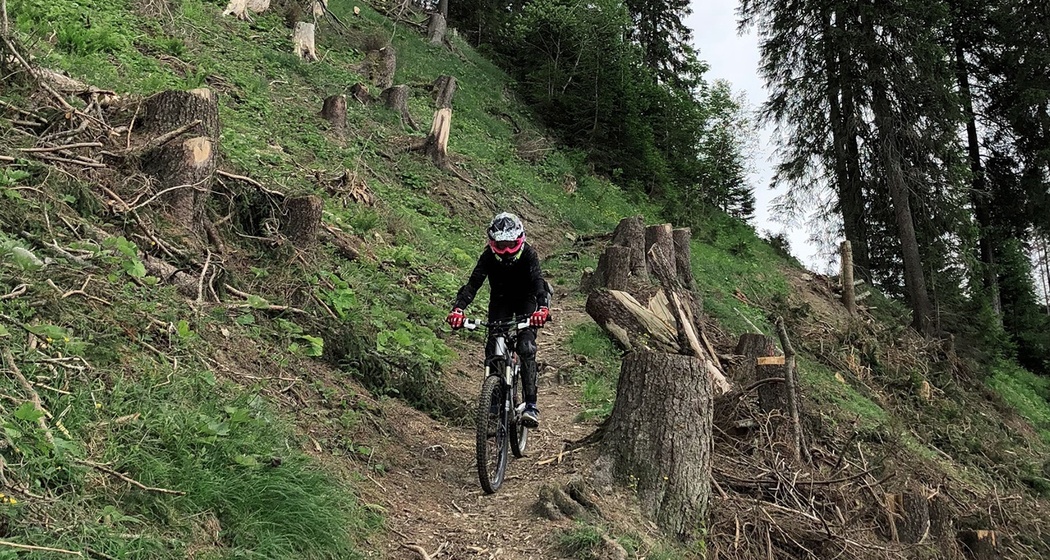 279 Pendlatrail (oua_30306638_image)