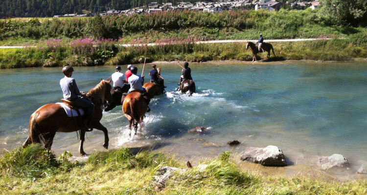 HETS Die Schule für Natural Horsemanship (oua_30375674_image)