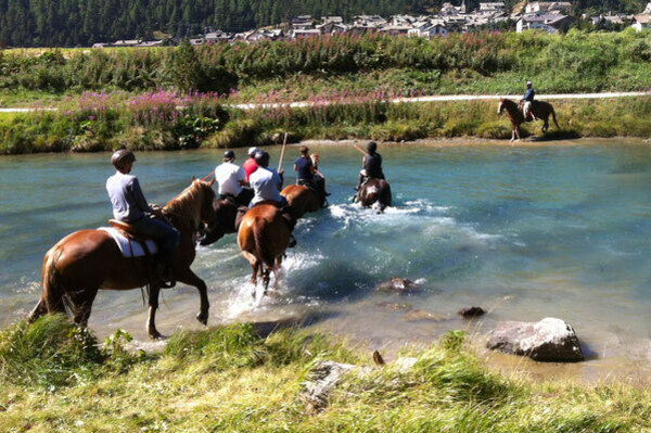 HETS The School for Natural Horsemanship (oua_30375678_image)