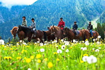 Scuola di equitazione di Gina (oua_30376264_image)