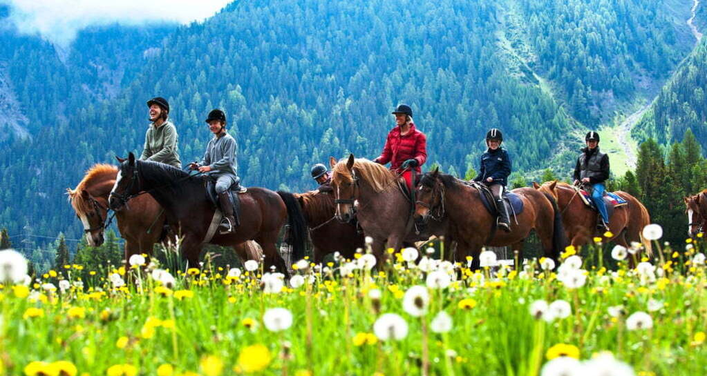 Gina's Reitschule (oua_30376264_image)