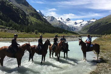 Engadin Galopp GmbH (oua_30376576_image)