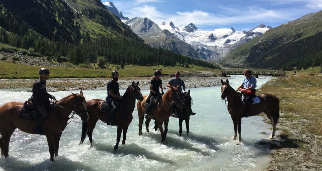 Engadin Galopp GmbH (oua_30376578_image)
