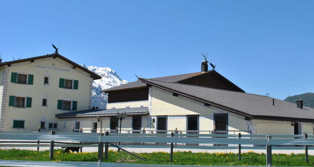 Engadin Galopp GmbH (oua_30376583_image)
