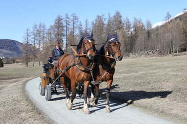 Fahr- und Reitbetrieb Zuoz (oua_30377138_image)