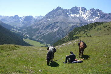 Stalla Gabriel (oua_30377331_image)