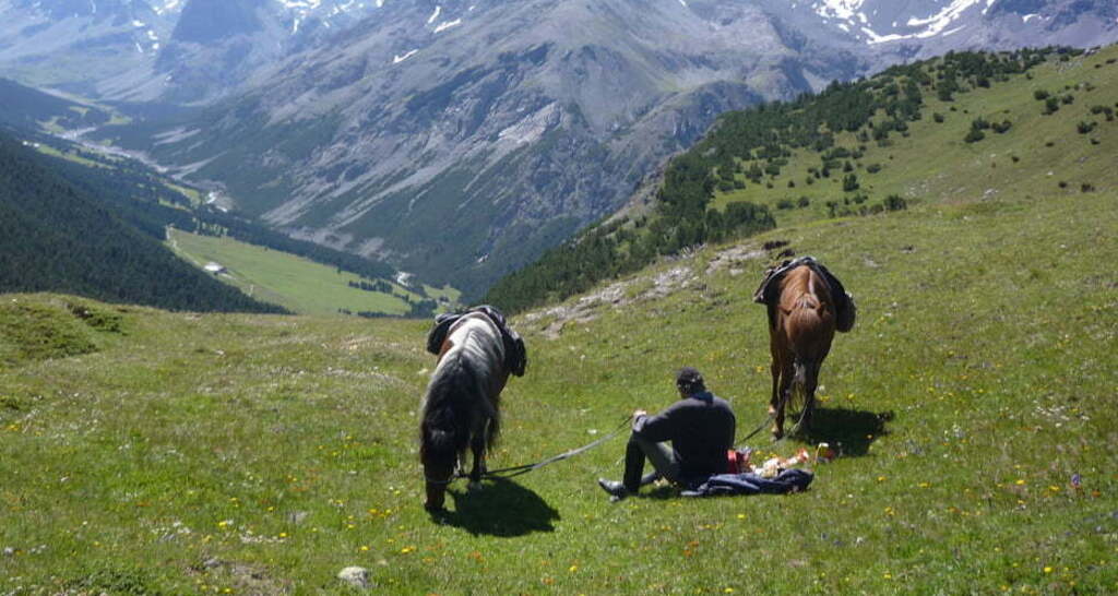 Stalla Gabriel (oua_30377331_image)