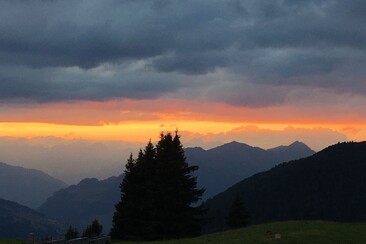 Plang Begls (oua_30576707_image)