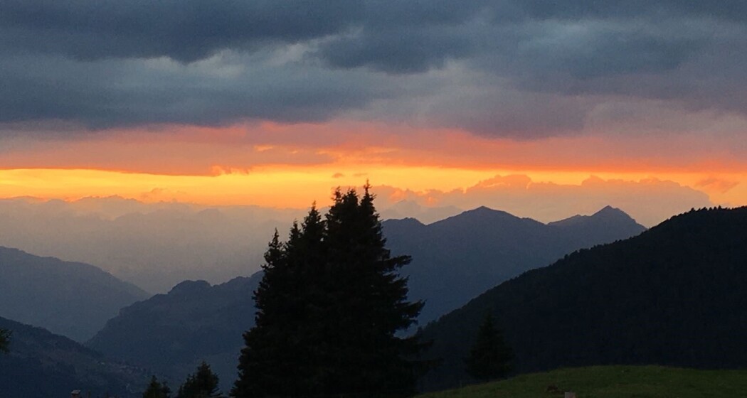 Plang Begls (oua_30576707_image)