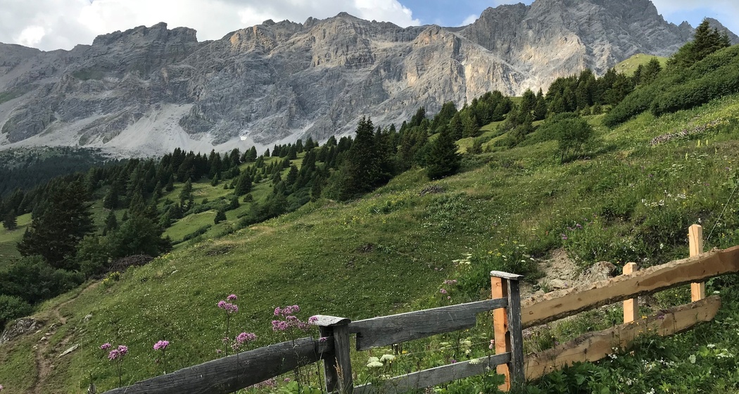 Plang Begls (oua_30581709_image)