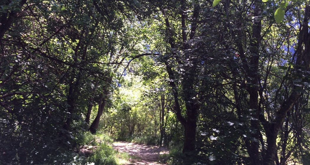 Sent - Sur En - La Fuorcha - Sent (oua_30760206_image)