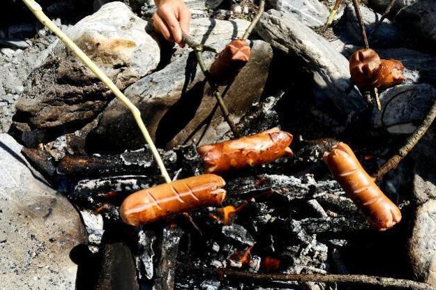 Foyer au Lai da Padnal (oua_30765531_image)