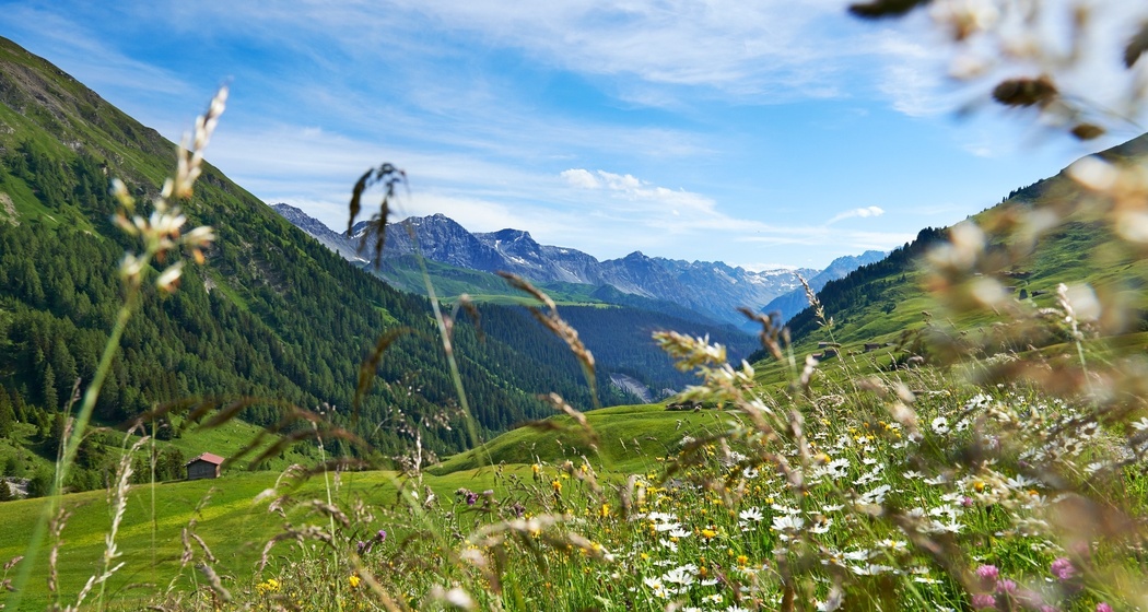Fondei; Aussicht Richtung Langwies