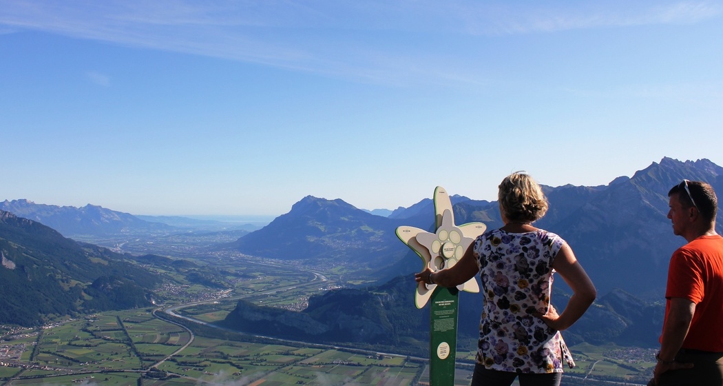 Auf dem Edelweiß Weg