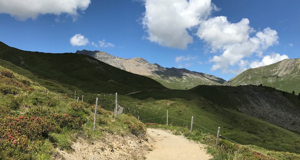 Trailrun Tigignas - Somtgant - Savognin (oua_30792218_image)