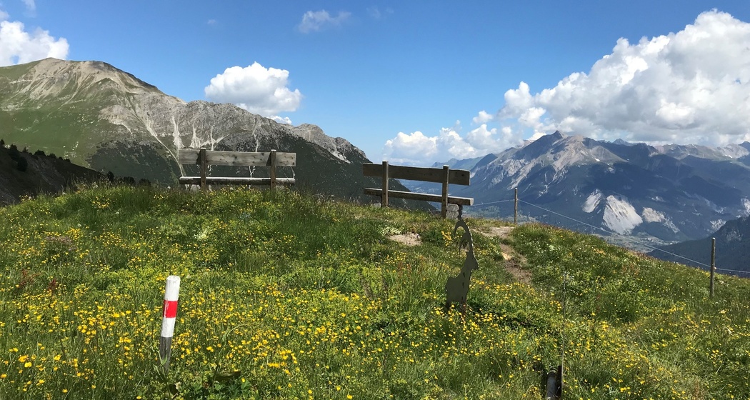 Grillstelle Alpenflora-Erlebnisweg, Somtgant (oua_30792222_image)