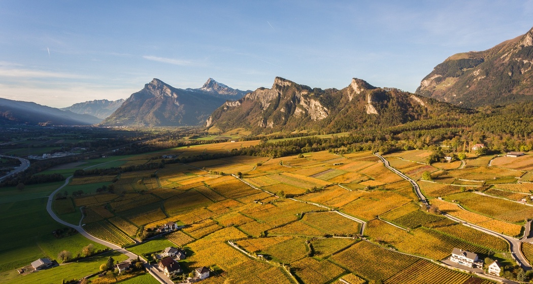 Rebberge Bündner Herrschaft und Regitzerspitz