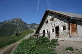 Alp Sura (oua_30793009_image)