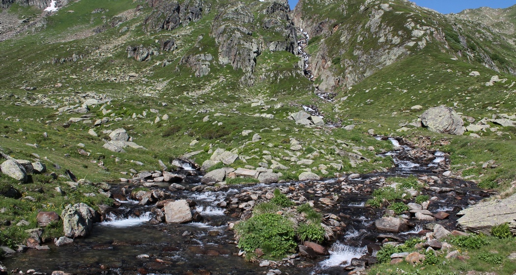 Der Rhein als kleiner Bach