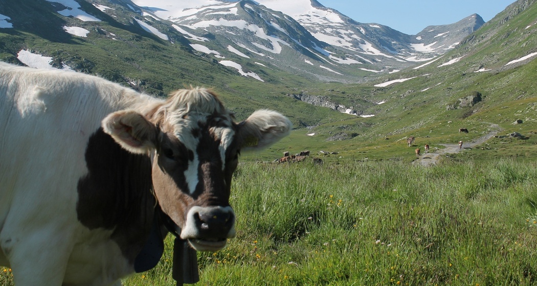 Val Maighels mit Bornengopass