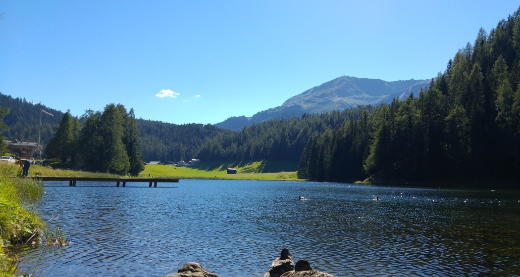 Schwarzsee (oua_31227230_image)