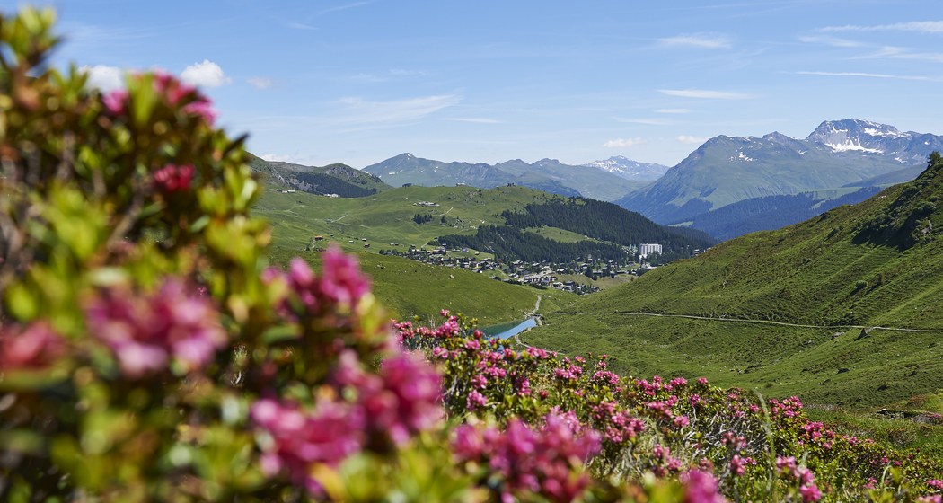 Schwellisee Panoramaweg
