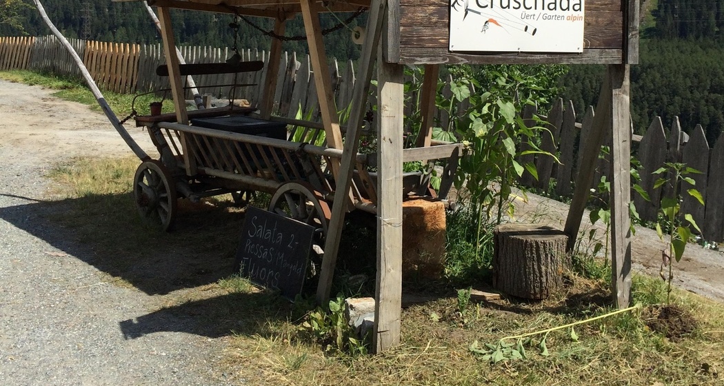 Cruschada (oua_31355097_image)