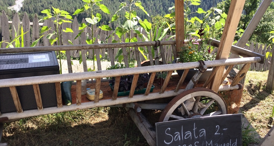 Cruschada (oua_31355098_image)