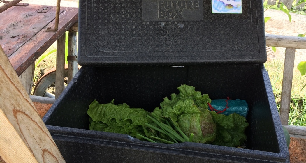 Cruschada (oua_31355099_image)