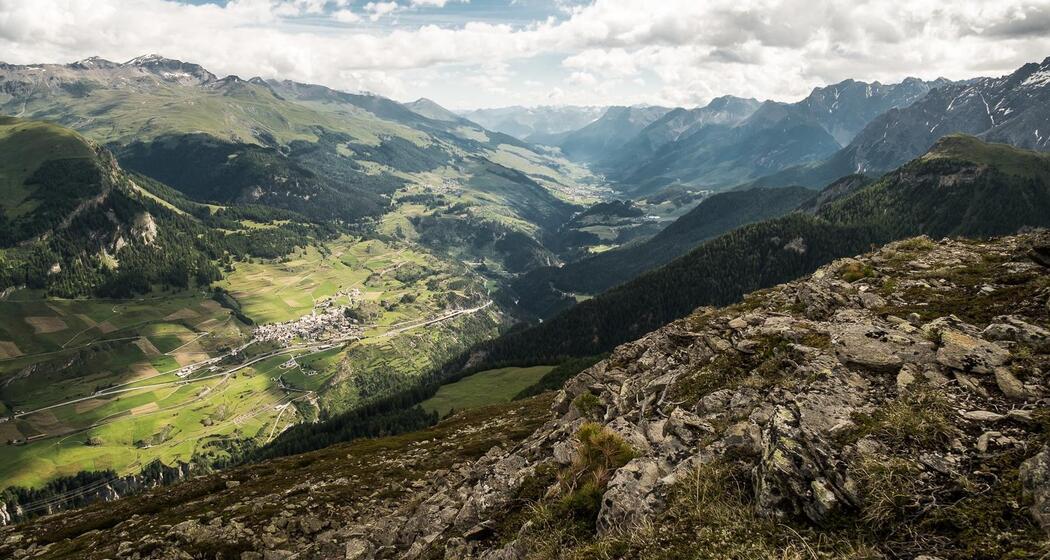 Alp Zeznina Dadaint (oua_31562785_image)