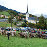Kirche Seewis