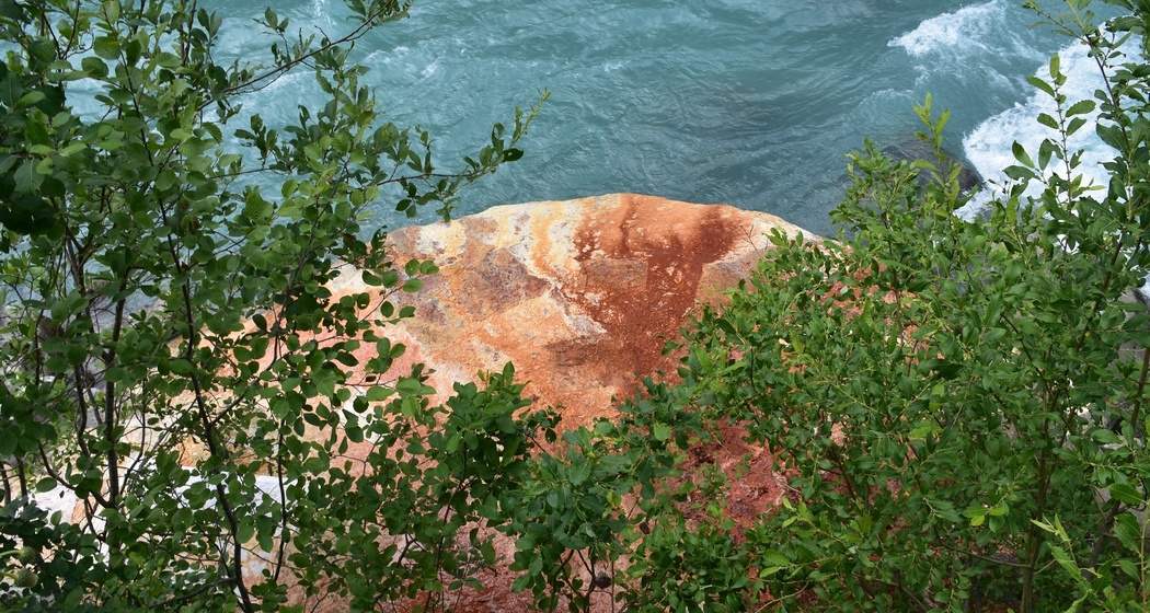 Funtana Bonifacius (oua_31732340_image)