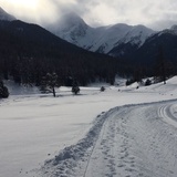 Tarasp: Lai Nair (oua_31961339_image)