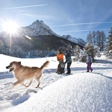 Susch – La Fuorcha – Zernez (oua_31961652_image)
