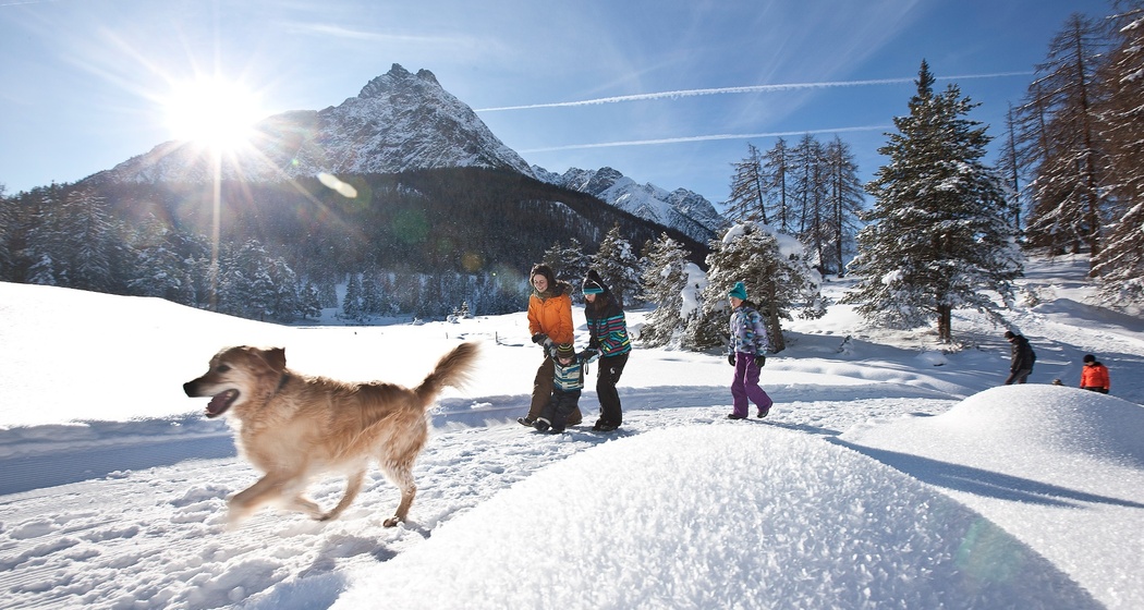 Susch – La Fuorcha – Zernez (oua_31961652_image)