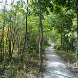 San Carlo - Miralago (oua_31961965_image)