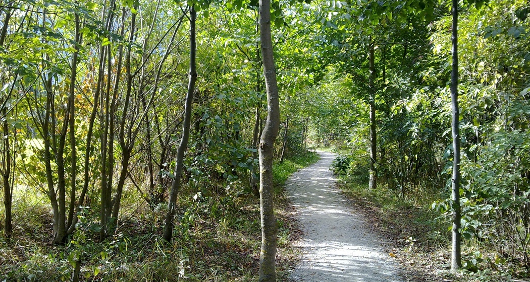 San Carlo - Miralago: Leichte Wanderung durch den Talboden des Puschlav (oua_31961965_image)