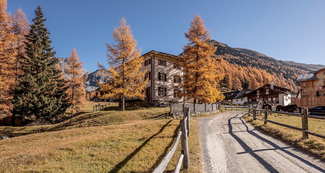 Gasthaus Mayor (oua_32177017_image)