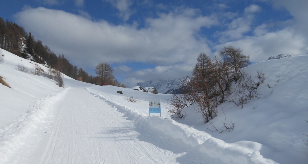 Schellen-Ursli-Weg, Guarda – Plan dal Növ (retour) (oua_32230783_image)