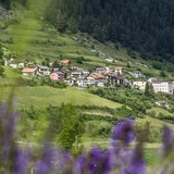 Ramosch - Val Sinestra, le long de la gorge de Brancla (oua_32231550_image)